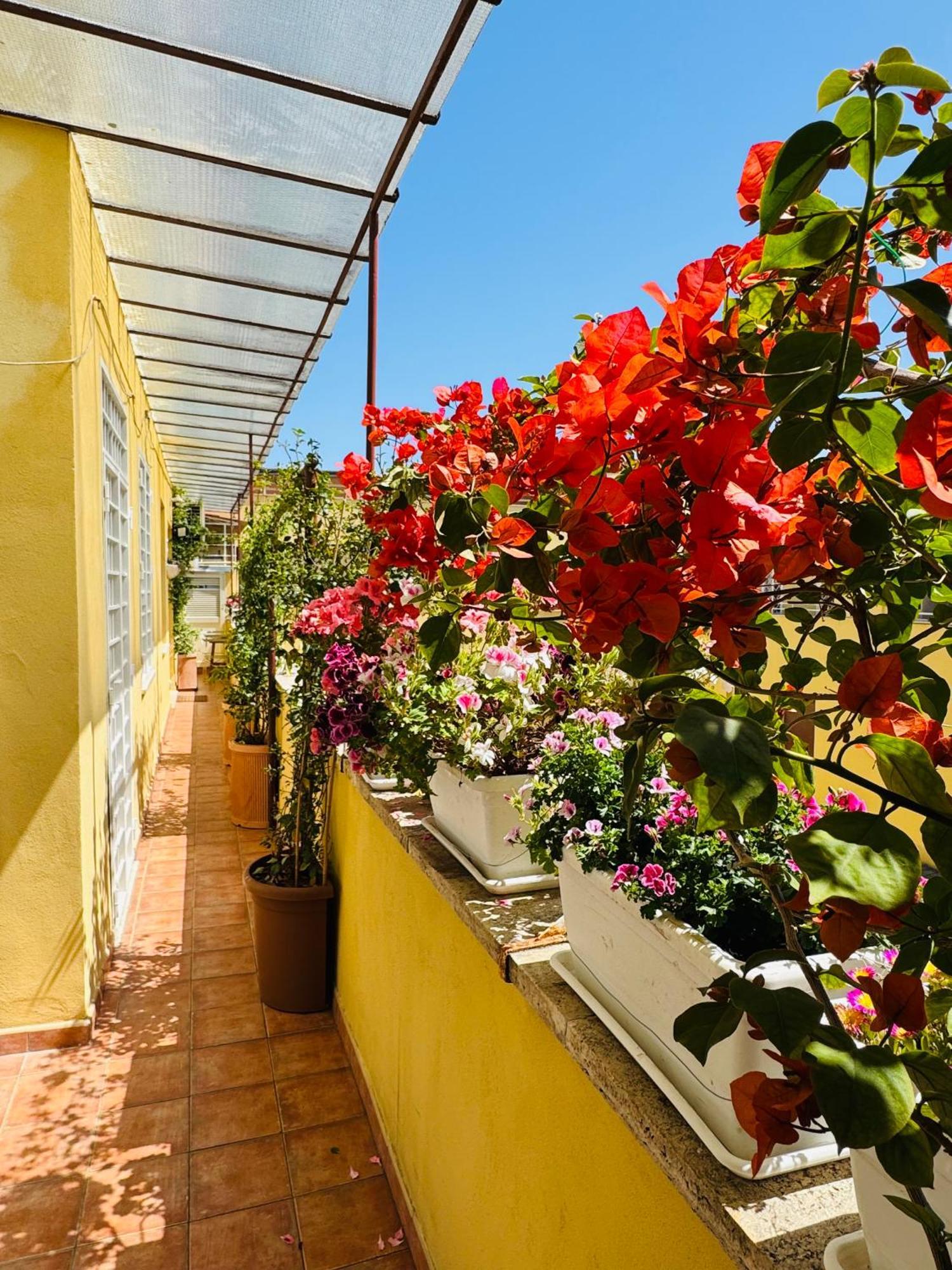 Otranto 36 Apartment Roma Ngoại thất bức ảnh