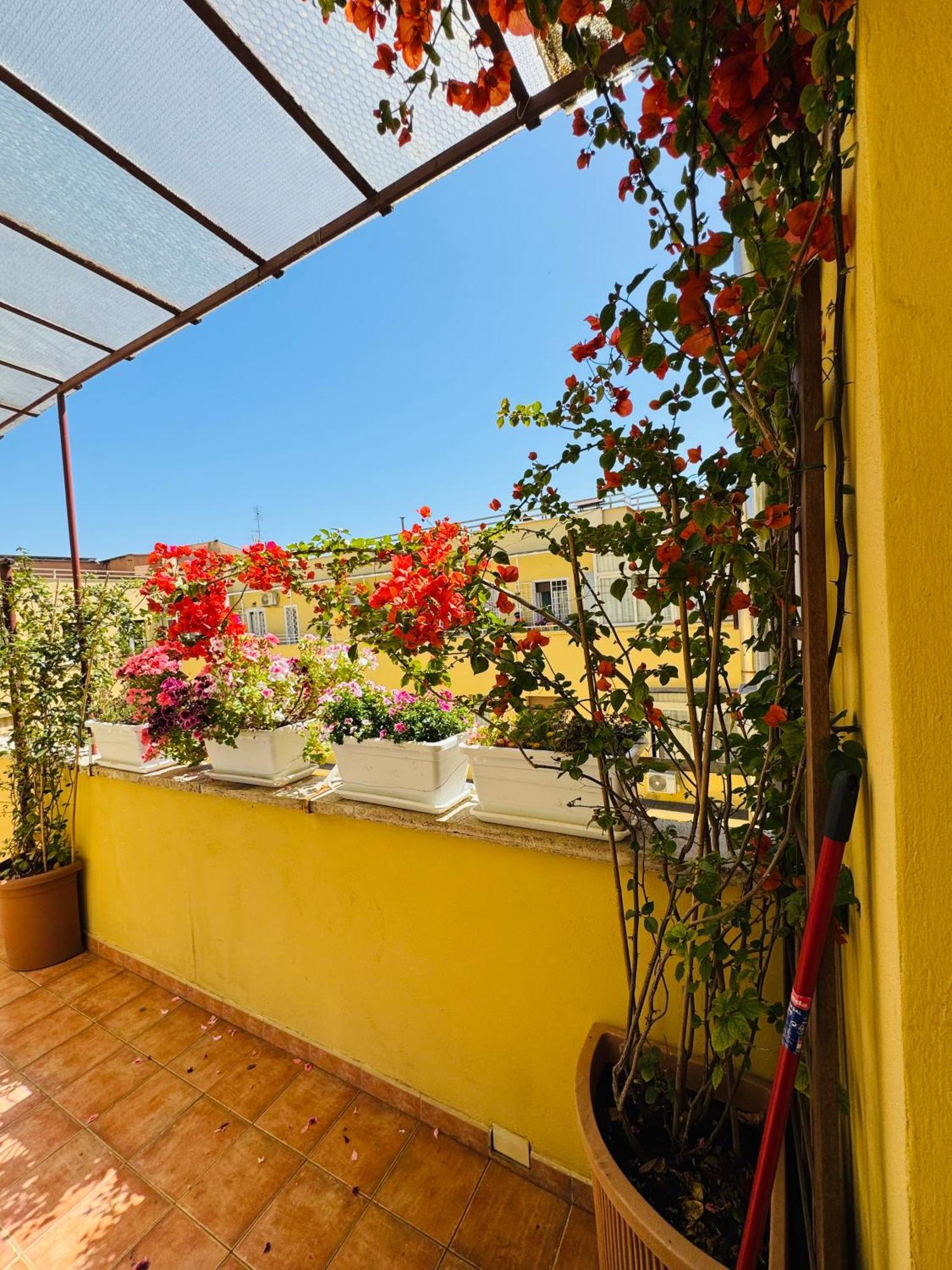 Otranto 36 Apartment Roma Ngoại thất bức ảnh